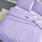 BELIEVE WHAT YOU GET Believe What You Get 3 Pieces Quilt Set King Size with 1 Quilt and 2 Pillow Shams, Reversible Microfiber Bedding Bedspread Coverlet Set, Cozy, Lightweight and Hypoallergenic, Purple